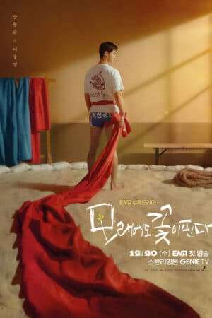 Thumber Hoa Nở Trên Cát