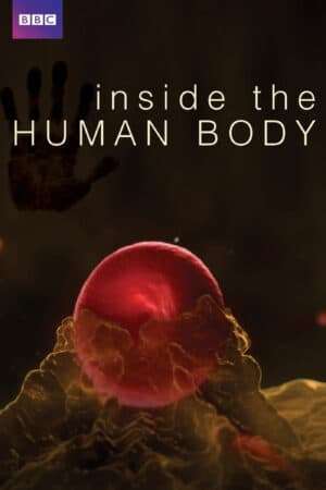 Thumber Inside the Human Body