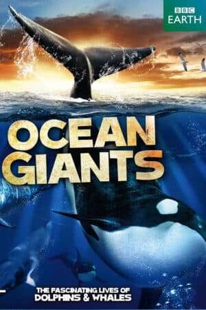 Thumber Ocean Giants