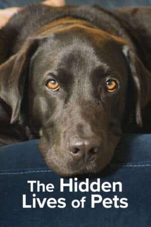 Thumber The Secret Life of Our Pets