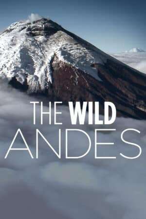 Thumber The Wild Andes