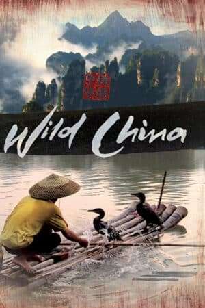 Thumber Thiên Nhiên Hoang Dã Trung Quốc