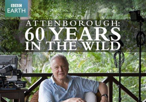 poster 60 Năm Trong Hoang Dã Attenborough: 60 Years In The Wild