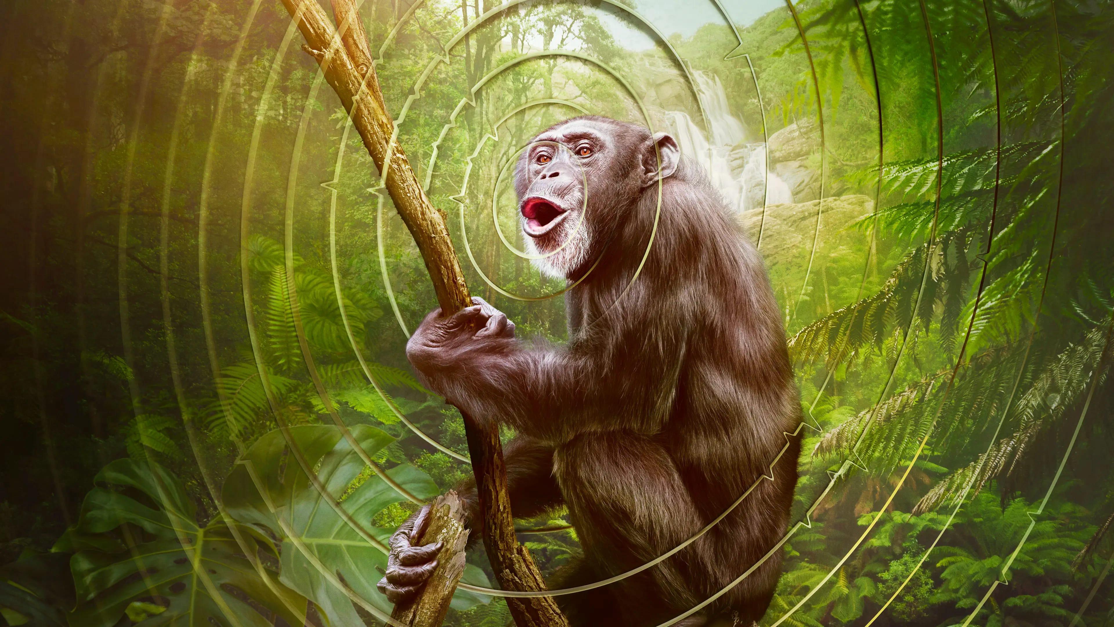 poster Âm Thanh Của Trái Đất - Earthsounds Earthsounds