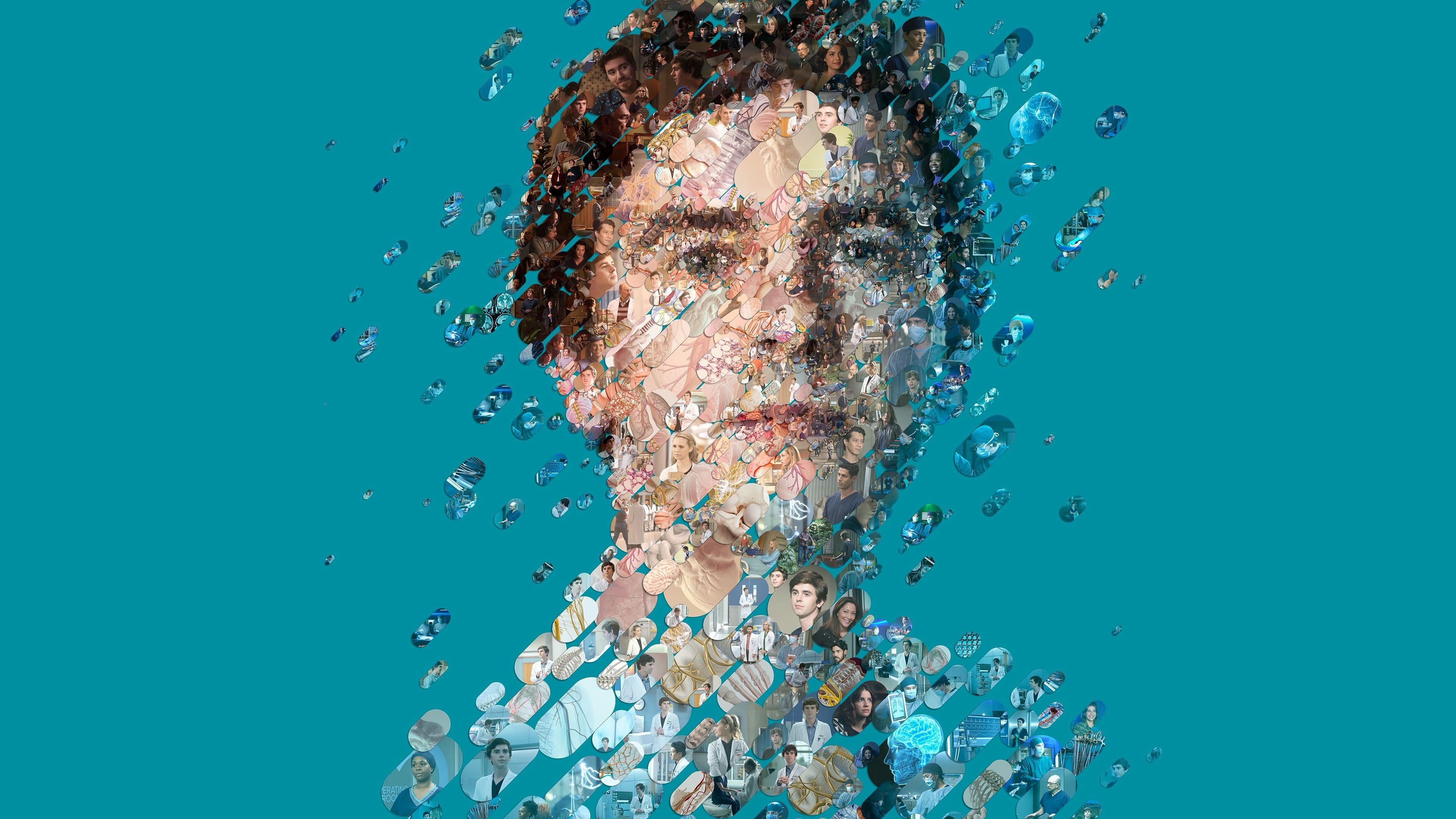 poster Bác Sĩ Thiên Tài (Phần 7) The Good Doctor (Season 7)