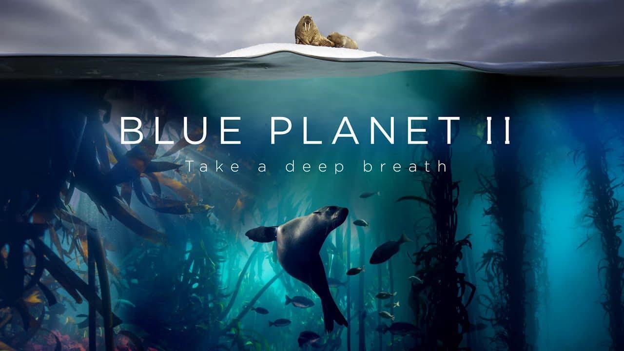 poster Đại Dương Sâu Thẳm 2 The Blue Planet 2