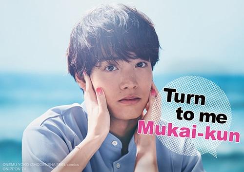 poster Mukai ơi, nhìn em này Turn to me Mukai-kun