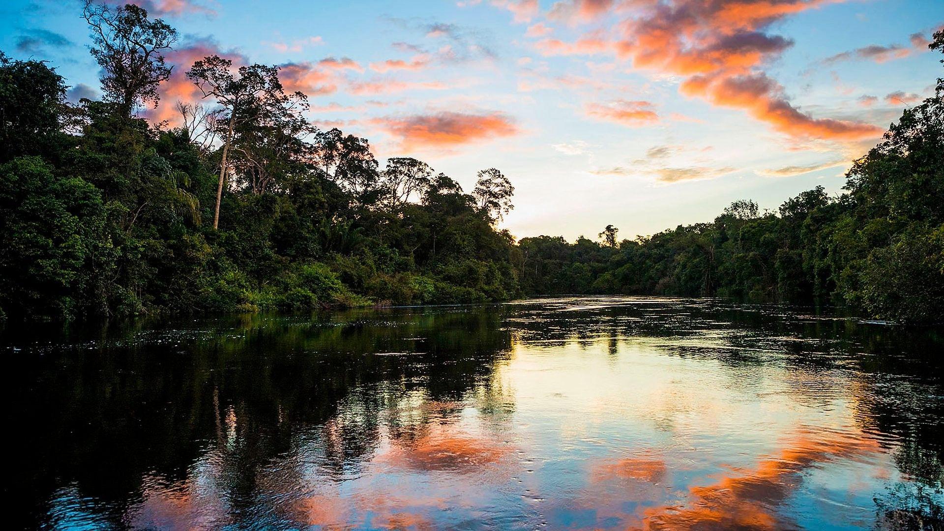poster Những Dòng Sông Hùng Vĩ Trên Trái Đất Earth's Great Rivers