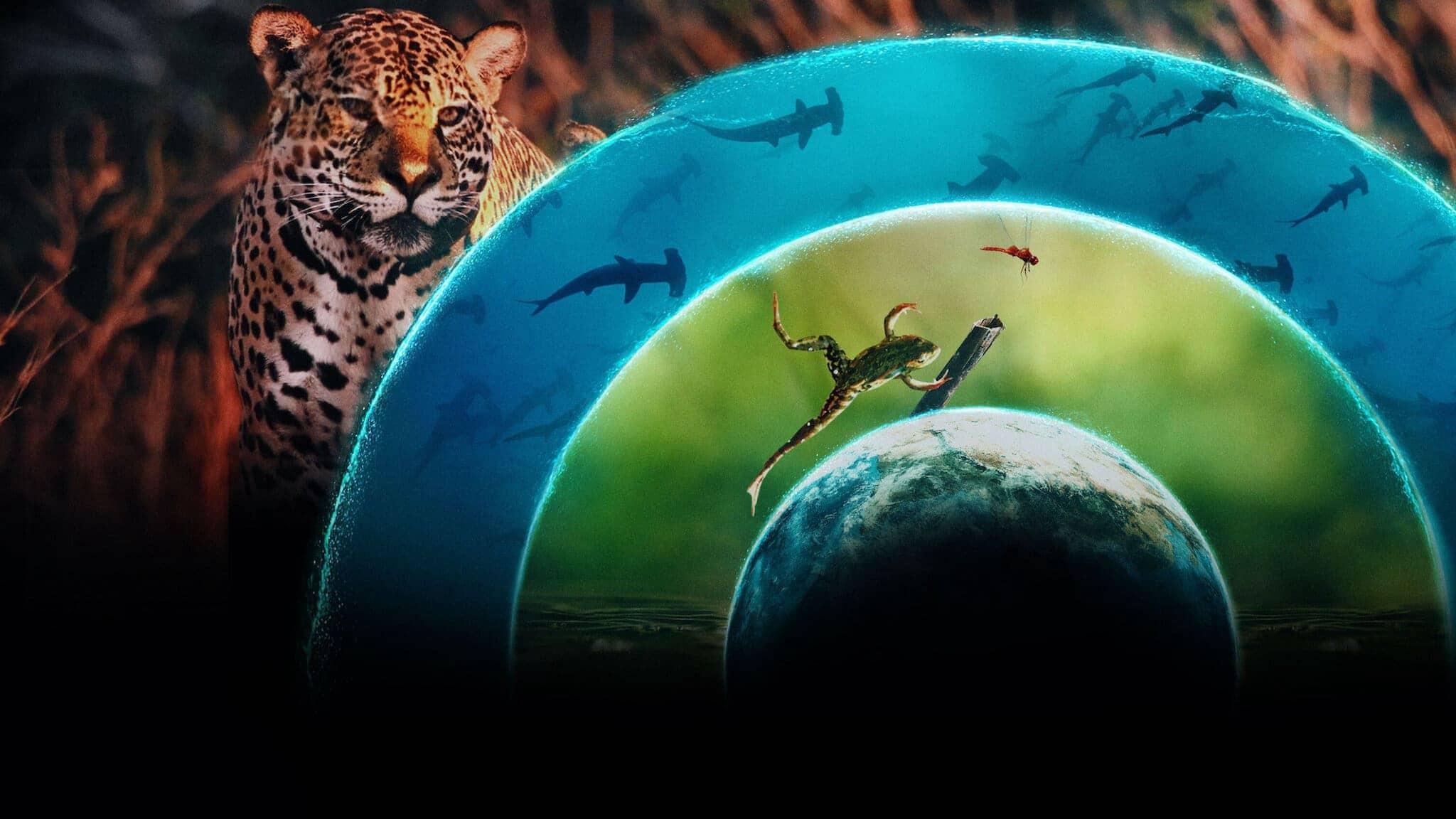 poster Thế giới sống của chúng ta Our Living World