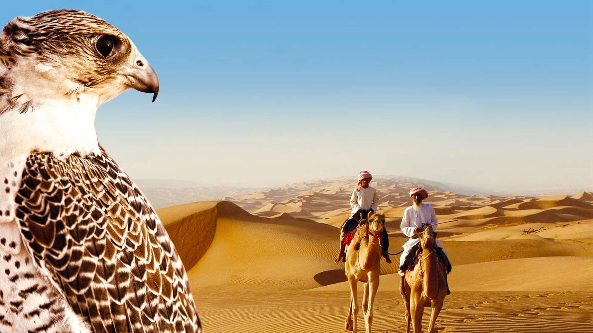 poster Thiên Nhiên Hoang Dã Ả Rập Wild Arabia