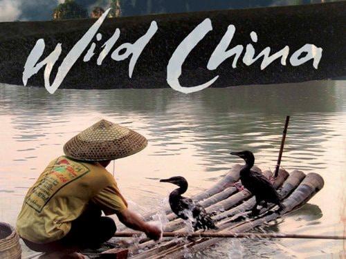 poster Thiên Nhiên Hoang Dã Trung Quốc Wild China