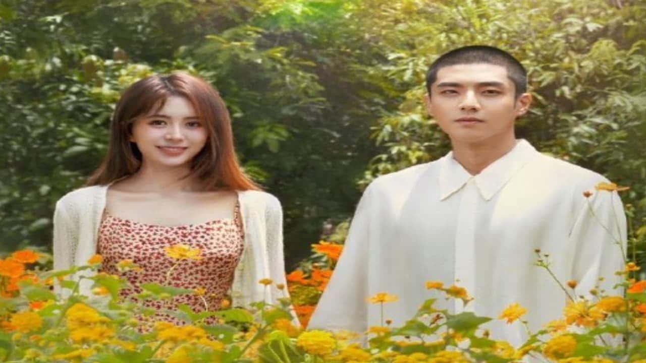 poster Tiên Sinh Ẩn Cư Yêu Dấu Dear Mr. Hermitage
