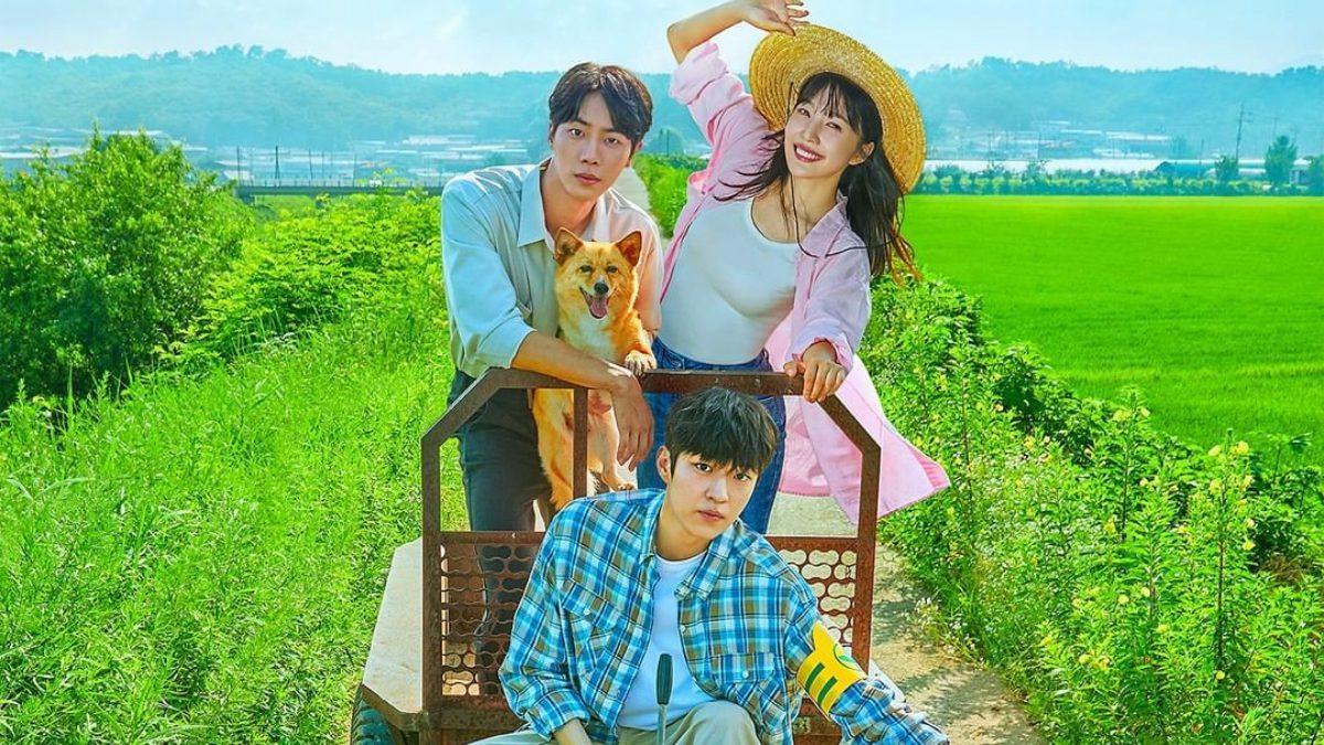 poster Nhật ký mối tình điền viên Once Upon a Small Town